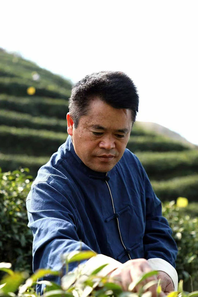 第七届中国茶叶进出口贸易年会暨都匀毛尖茶人会在都匀毛尖镇顺利举办
