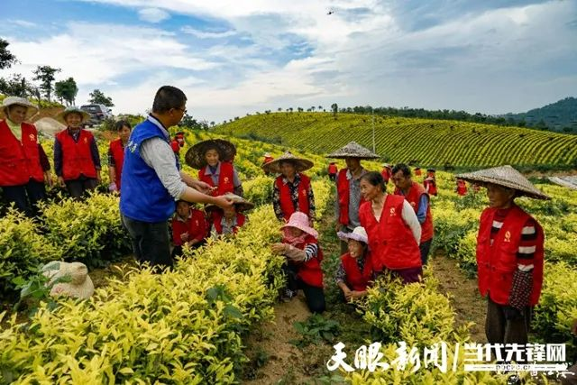 都匀毛尖亮相香港“同乡文化名胜展”(图7)
