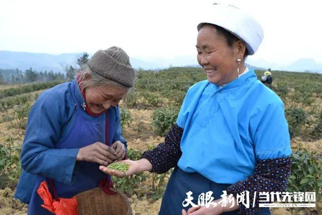 都匀毛尖亮相香港“同乡文化名胜展”(图8)