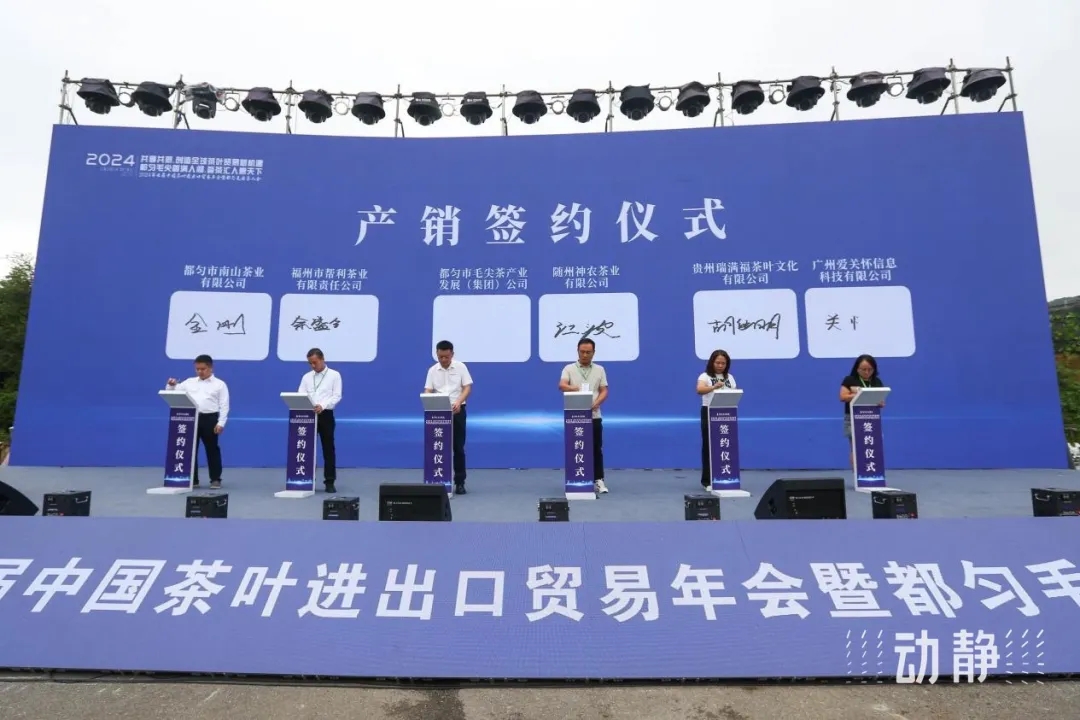 2024第七届中国茶叶进出口贸易年会暨都匀毛尖茶人会开幕(图12)