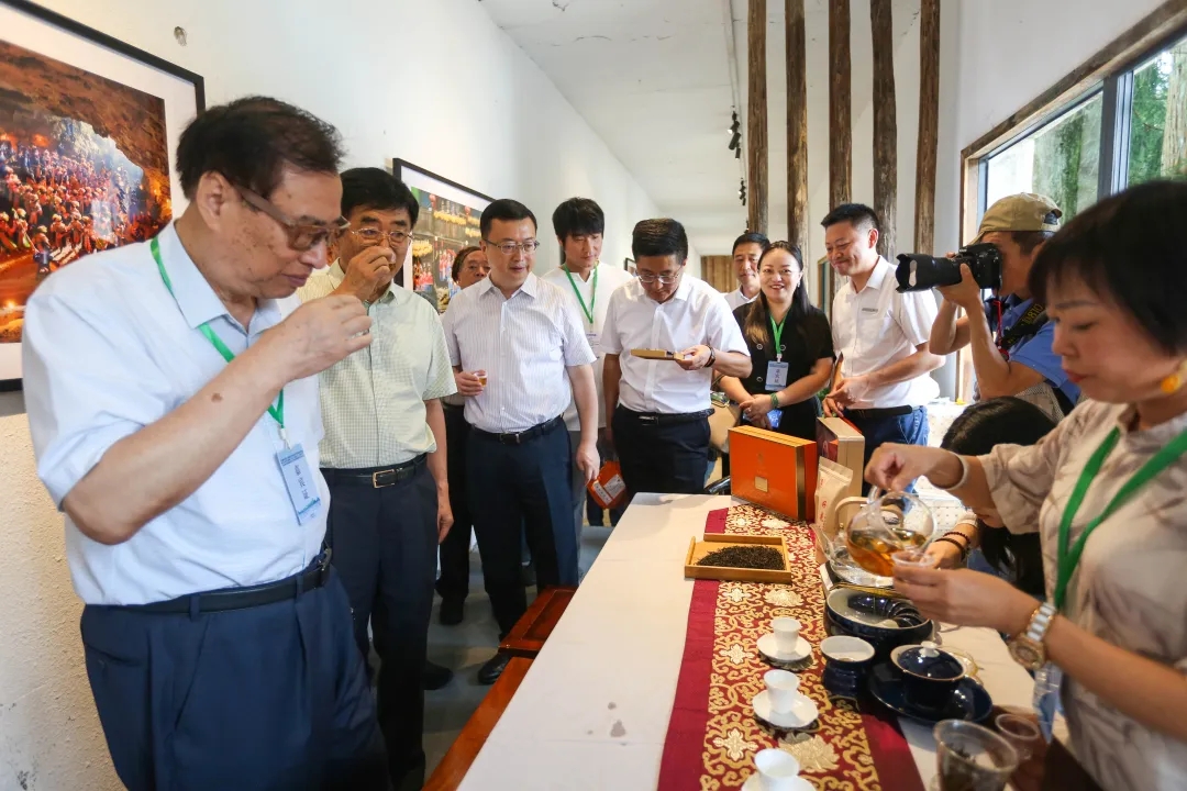 2024第七届中国茶叶进出口贸易年会暨都匀毛尖茶人会开幕(图14)
