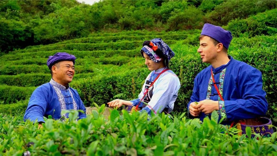毛尖镇：茶园冬季管护忙，切盼来年毛尖香!(图4)