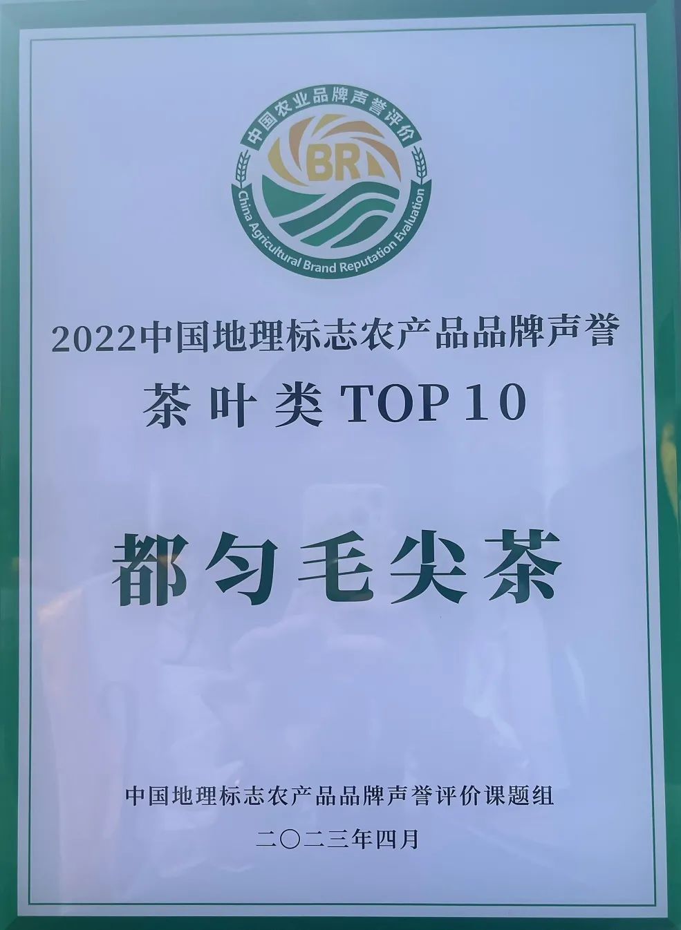 重磅！都匀毛尖获2022中国地理标志农产品（茶叶）品牌声誉百强榜TOP4(图3)