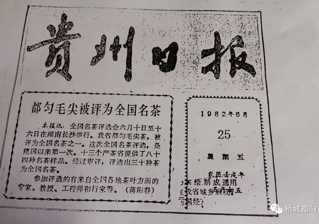 重磅！都匀毛尖获2022中国地理标志农产品（茶叶）品牌声誉百强榜TOP4(图6)