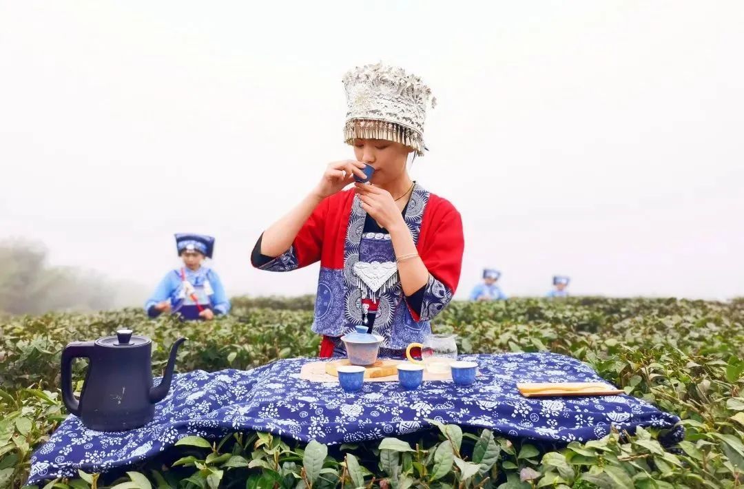 重磅！都匀毛尖获2022中国地理标志农产品（茶叶）品牌声誉百强榜TOP4(图10)