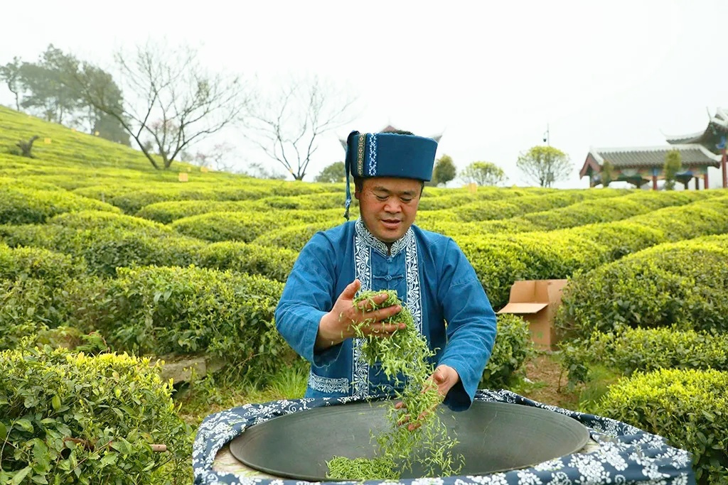 重磅！都匀毛尖获2022中国地理标志农产品（茶叶）品牌声誉百强榜TOP4(图12)