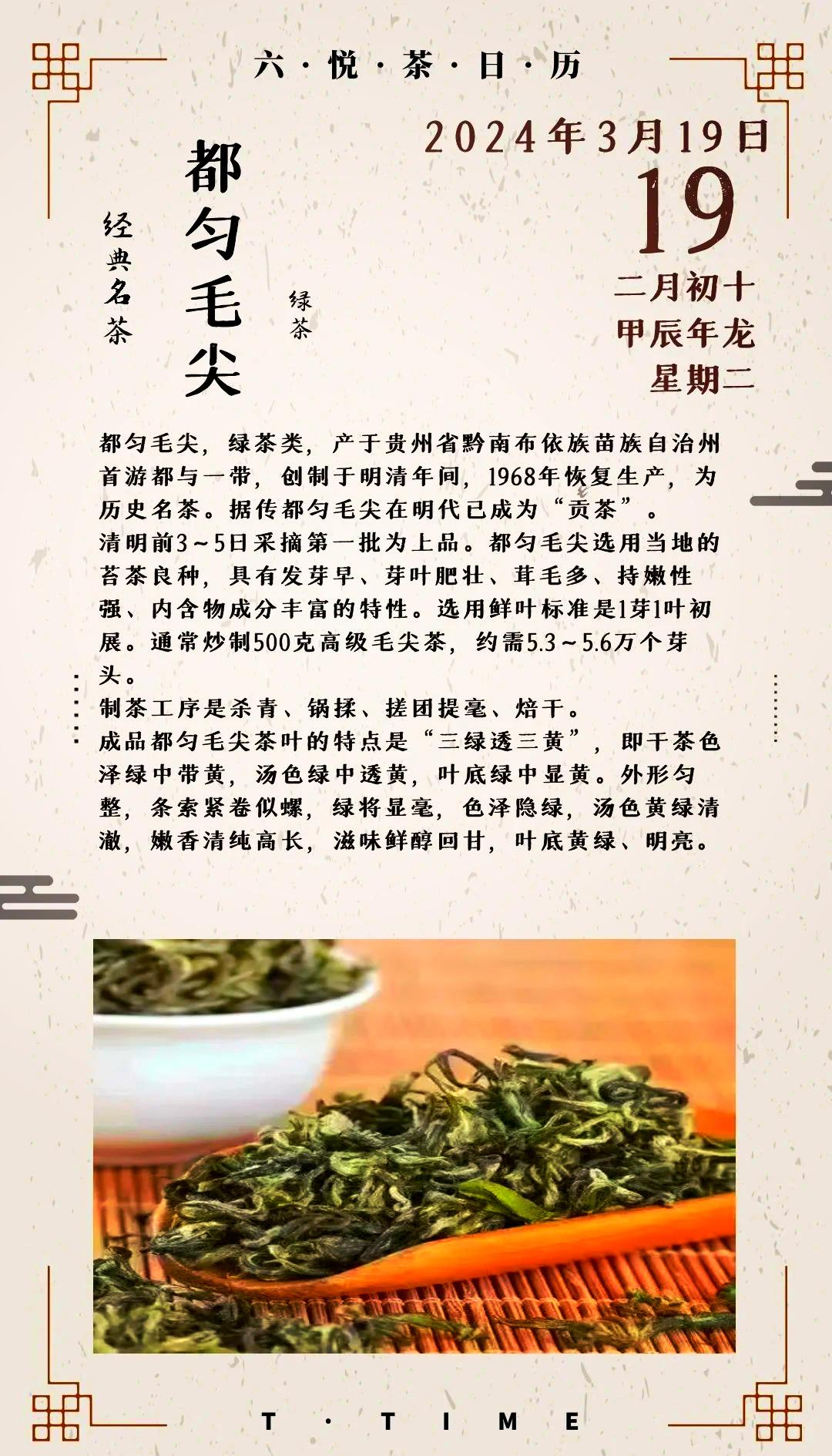 贵州都匀毛尖茶：送礼自饮两相宜