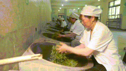 都匀毛尖：人类非遗代表作(图4)