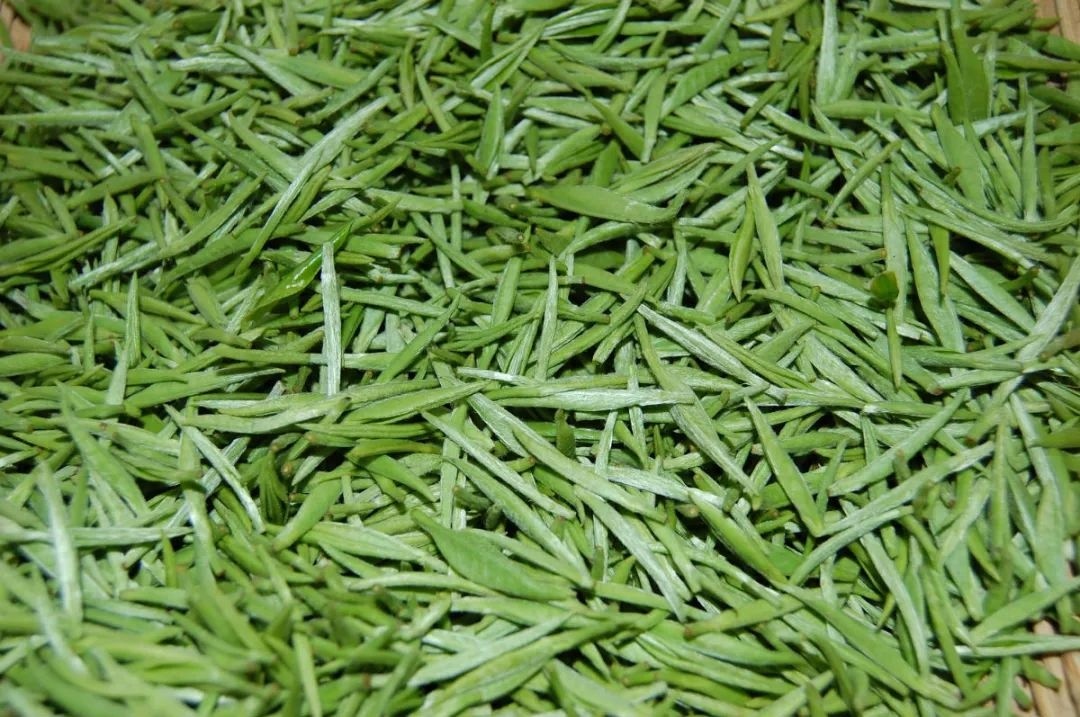 都匀毛尖茶制作技艺：茶香万里，名震九州