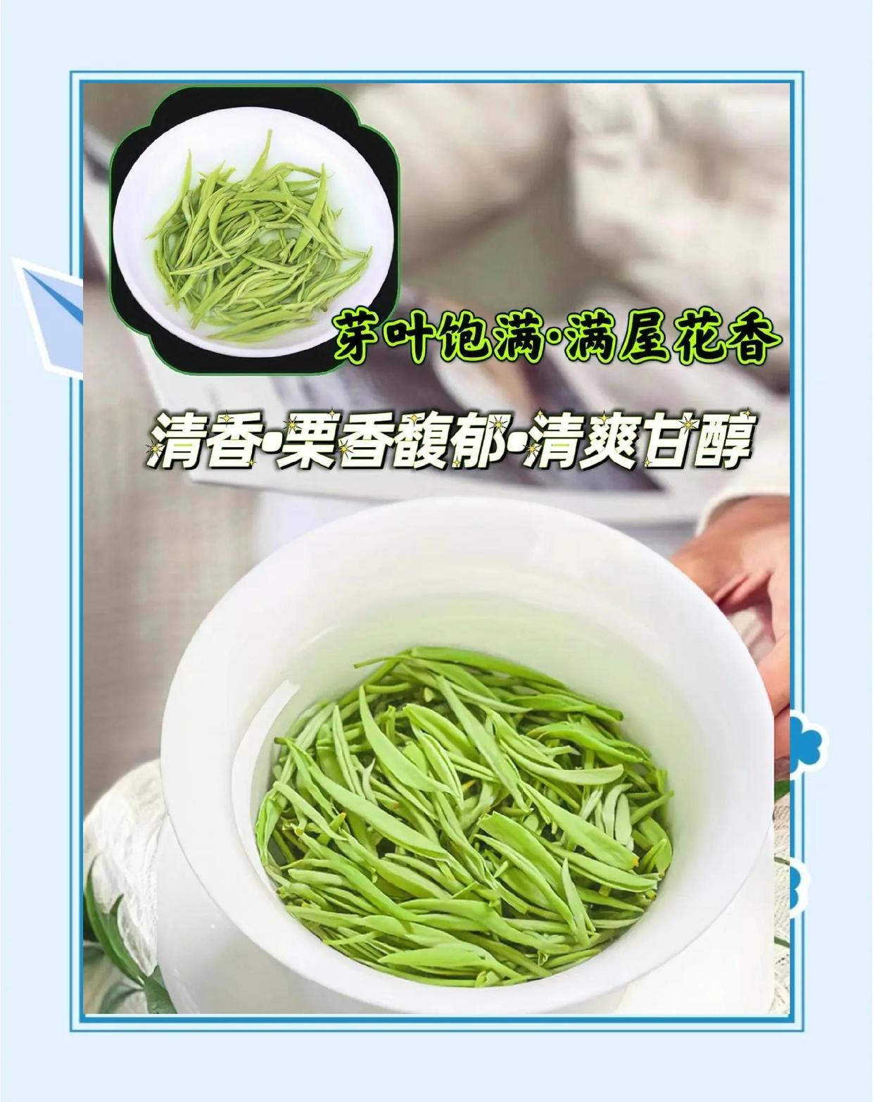 都匀毛尖茶叶-中国高端绿茶的瑰宝