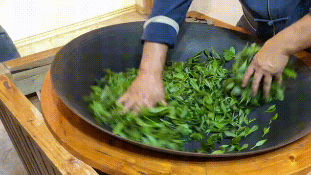 一杯茶，一份匠心——张子全茶叶，品味都匀毛尖的千年韵味(图3)