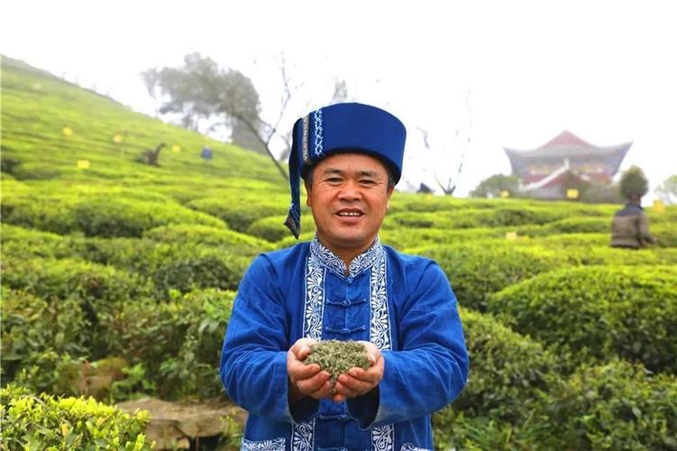 春茶尝鲜正当时，匠心臻品认准张子全都匀毛尖茶(图5)