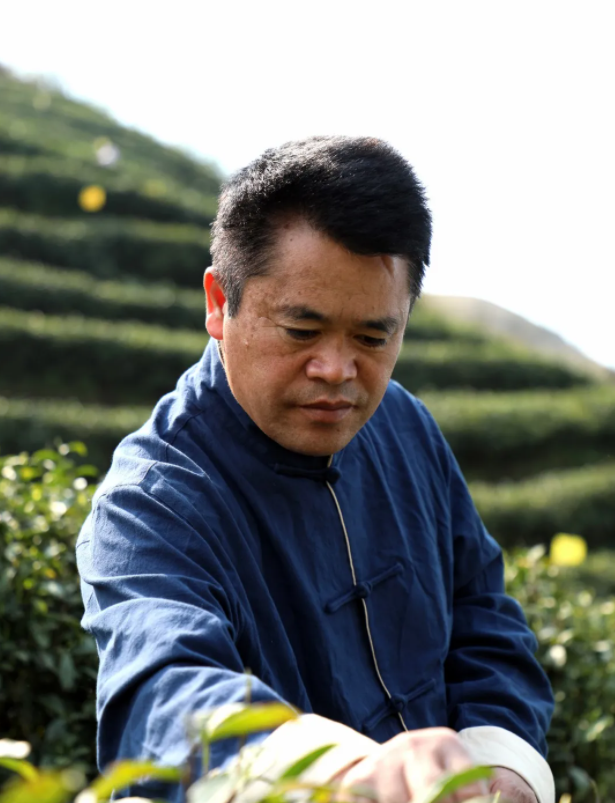 茶人张子全:朴语真味(图4) 茶人张子全:朴语真味(图4)