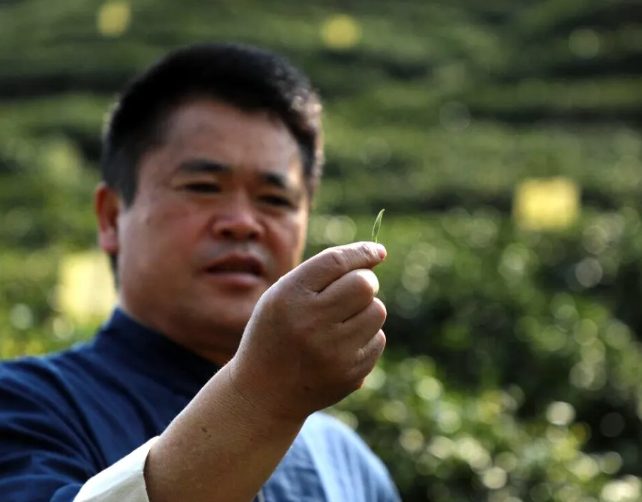 茶人张子全:朴语真味(图5) 茶人张子全:朴语真味(图5)